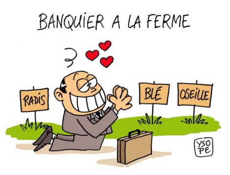 Banquier-ferme_Ysope