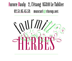 Aurore Dauly Le Tablier